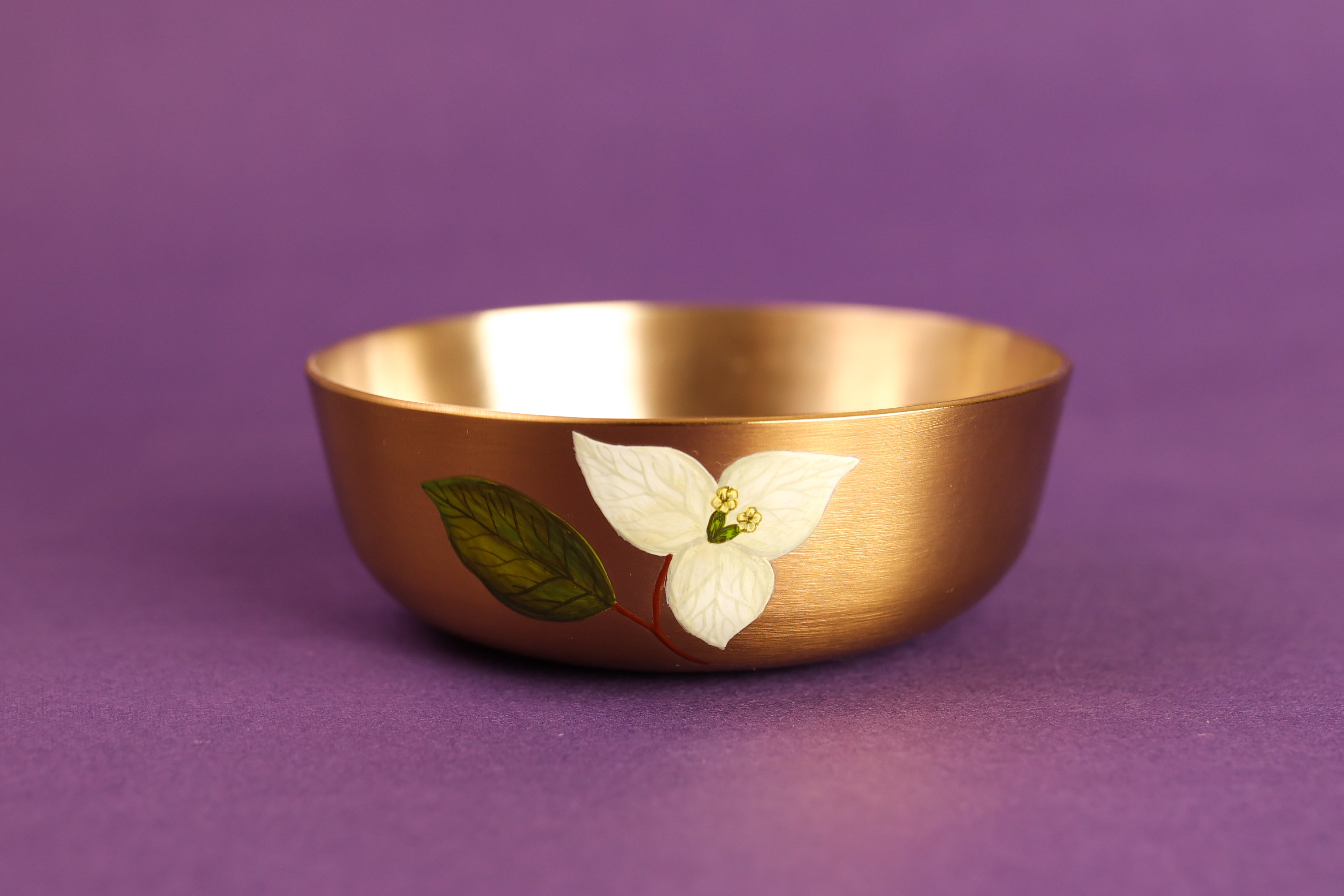 Dinner Set Of 2 - Saphed
