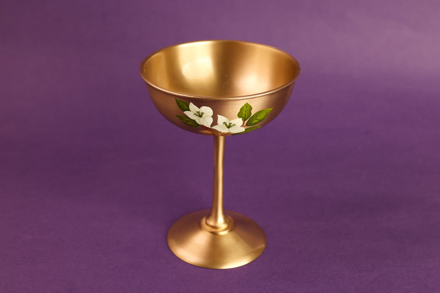 Saphed Pital Cocktail Glass - Set of 2